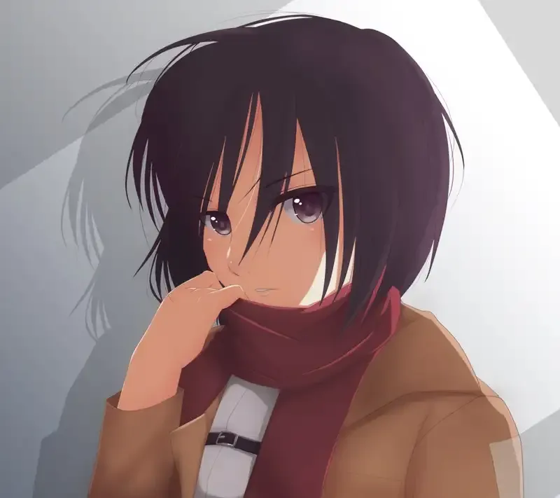 Mikasa Ackerman  47