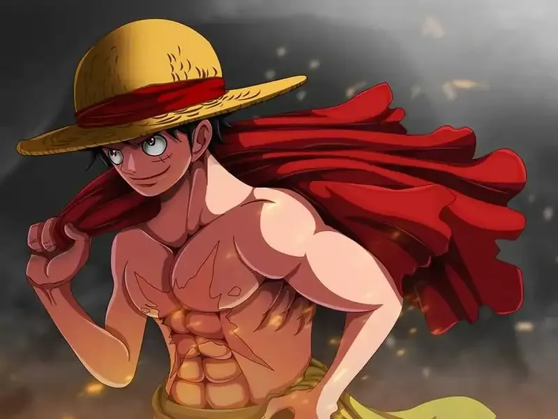 Monkey D. Luffy  4