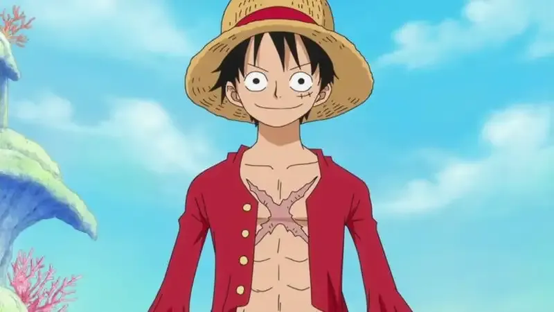 Monkey D. Luffy  5