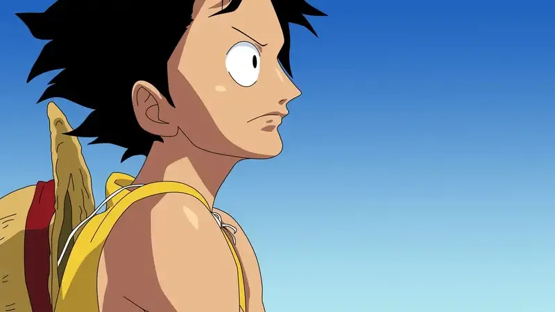 Monkey D. Luffy  8