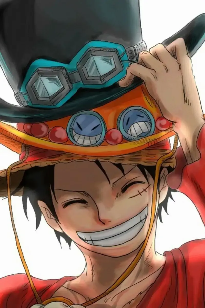 Monkey D. Luffy  10