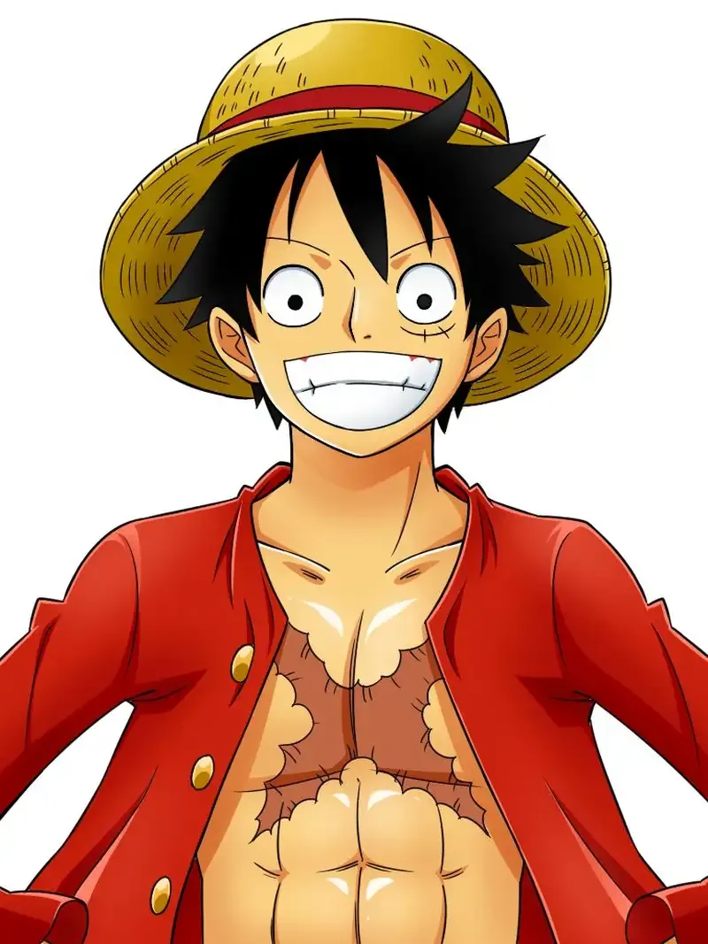 Monkey D. Luffy  11