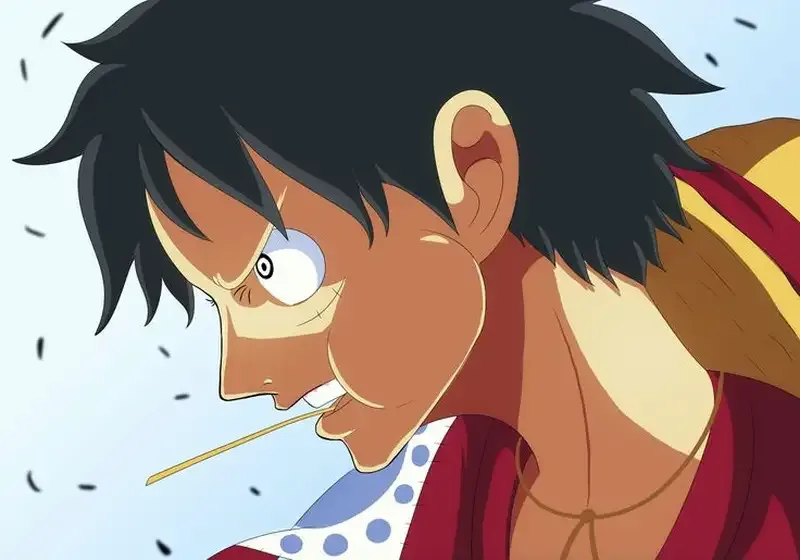 Monkey D. Luffy  12