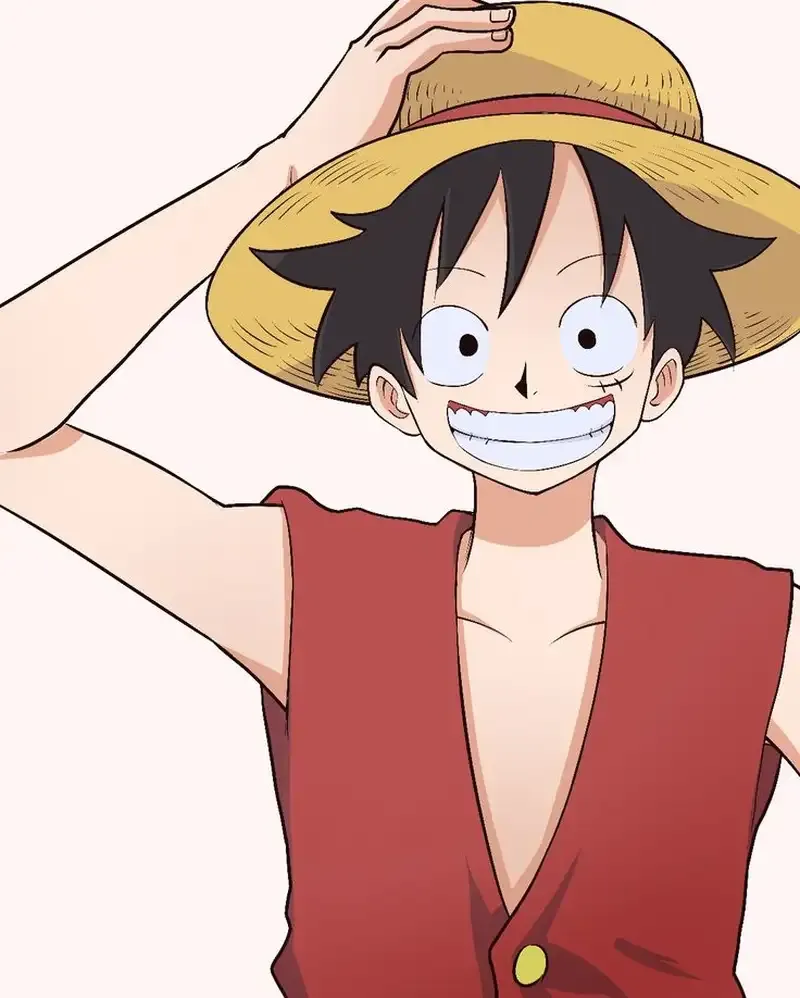 Monkey D. Luffy  14