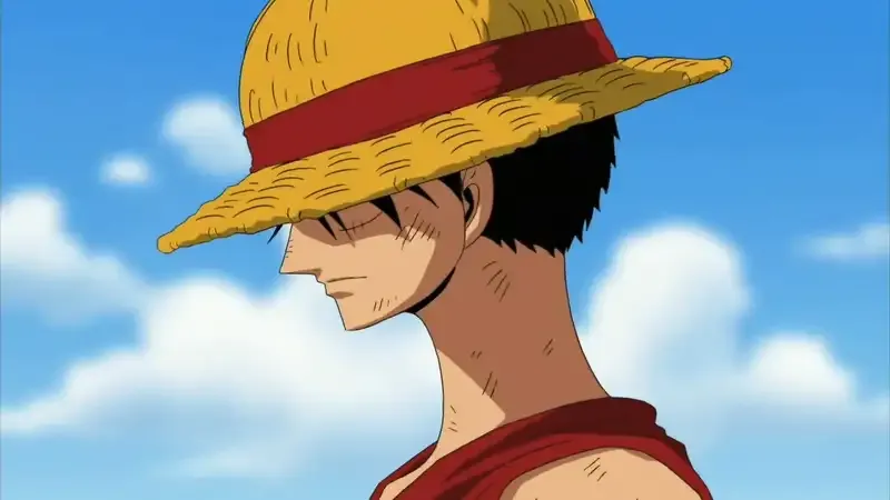 Monkey D. Luffy  15