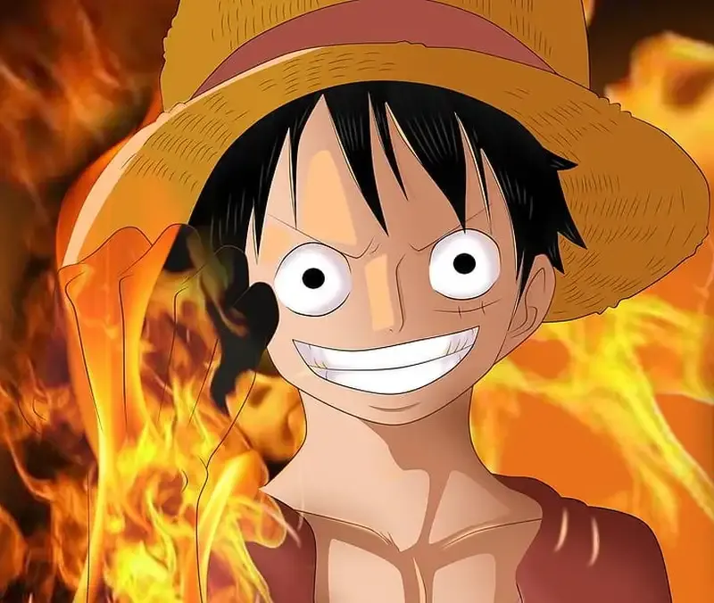 Monkey D. Luffy  17