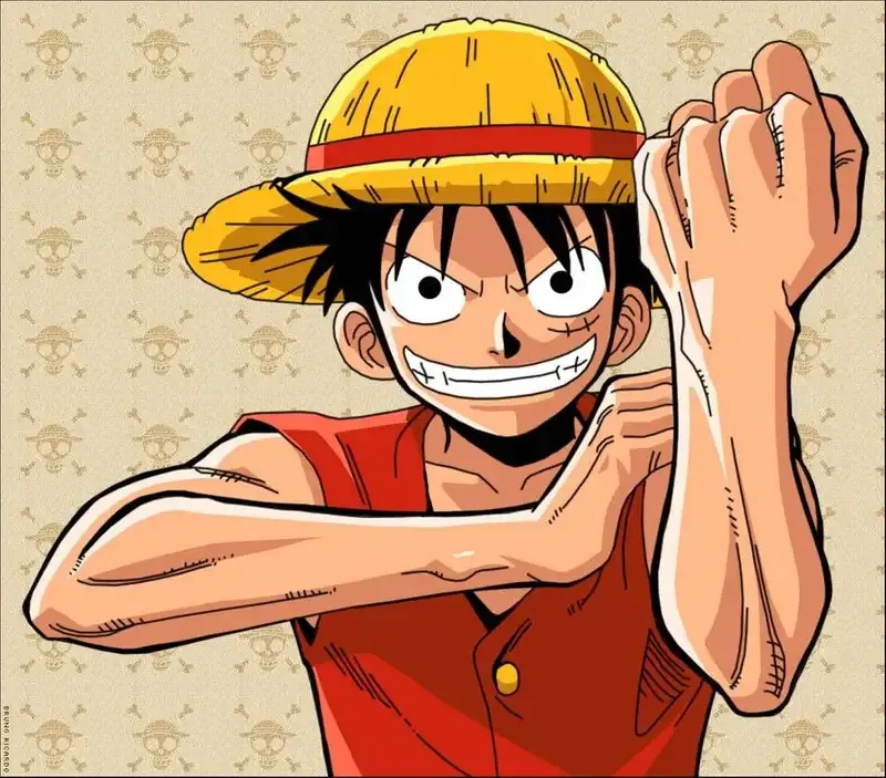 Monkey D. Luffy  18