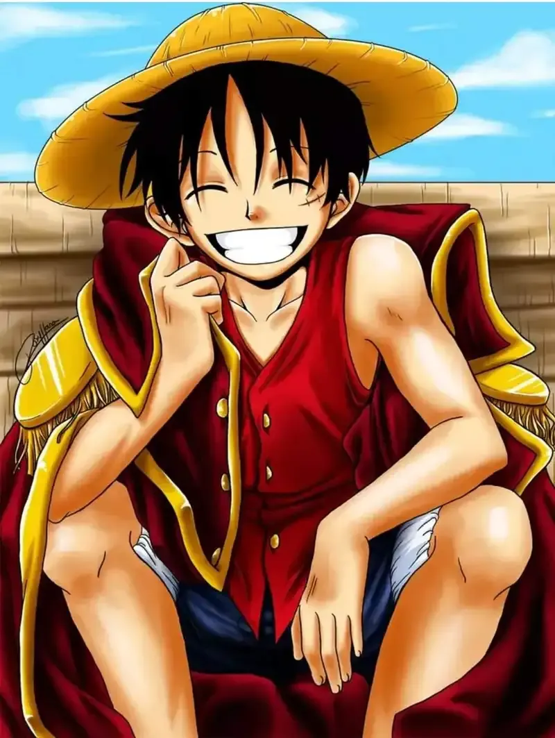 Monkey D. Luffy  20