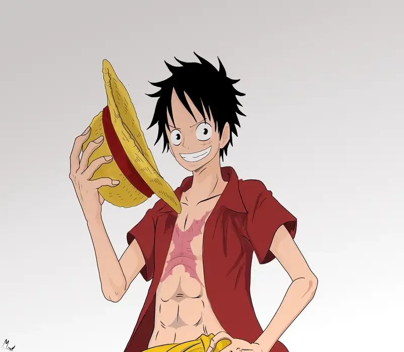 Monkey D. Luffy  21