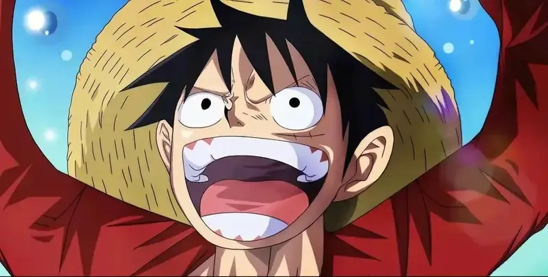 Monkey D. Luffy  23