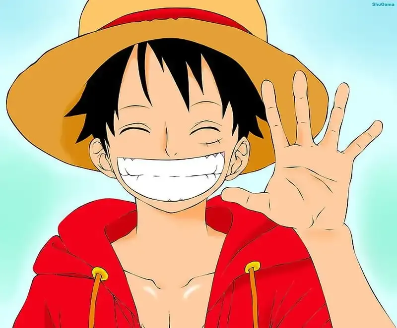 Monkey D. Luffy  25