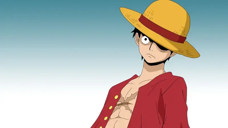 Monkey D. Luffy  29