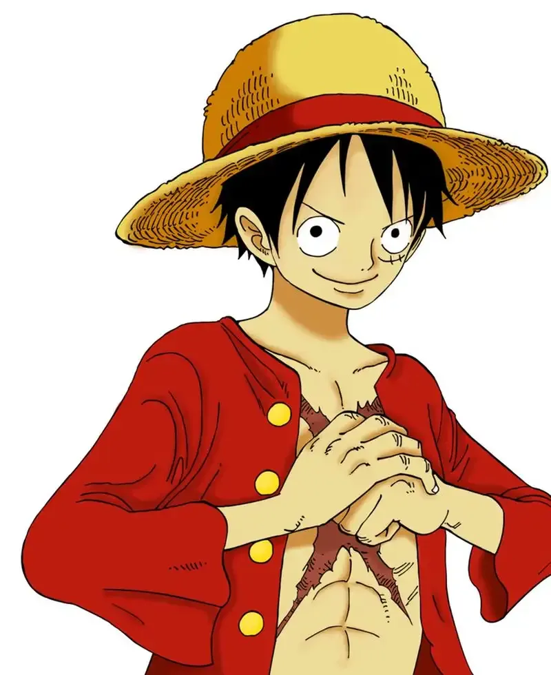 Monkey D. Luffy  31