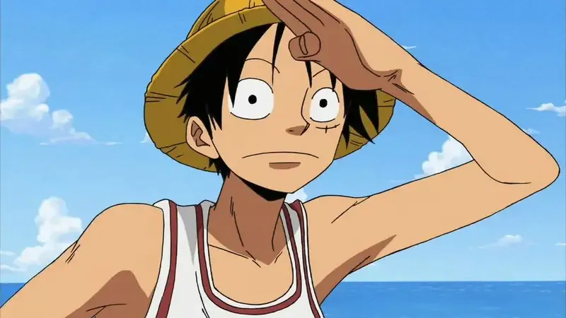 Monkey D. Luffy  32