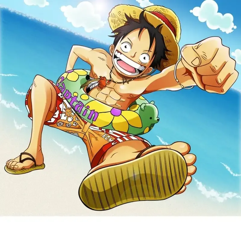 Monkey D. Luffy  35