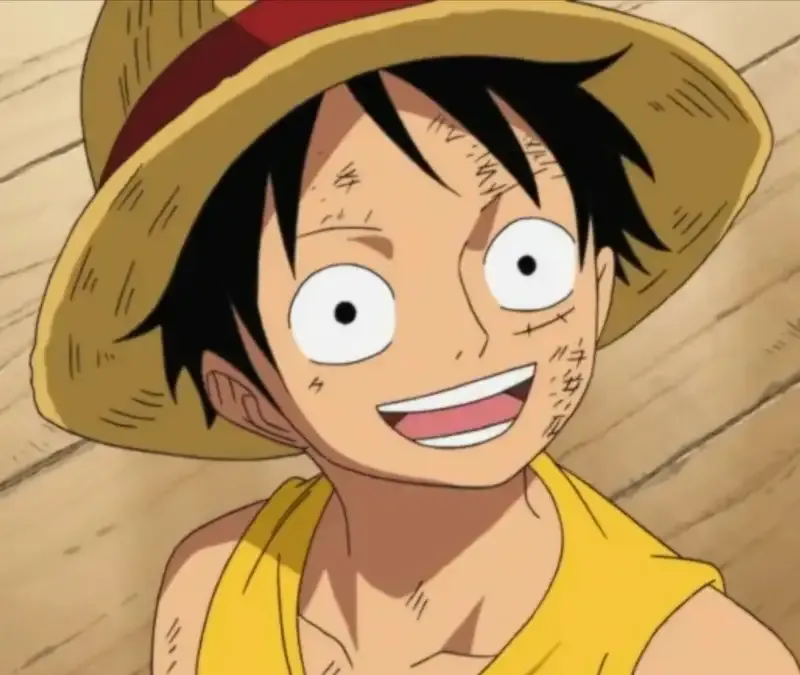 Monkey D. Luffy  40