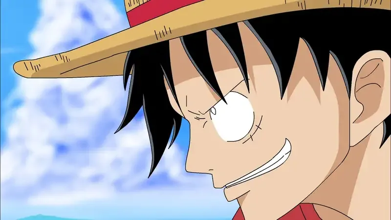 Monkey D. Luffy  45