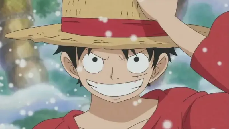 Monkey D. Luffy  46