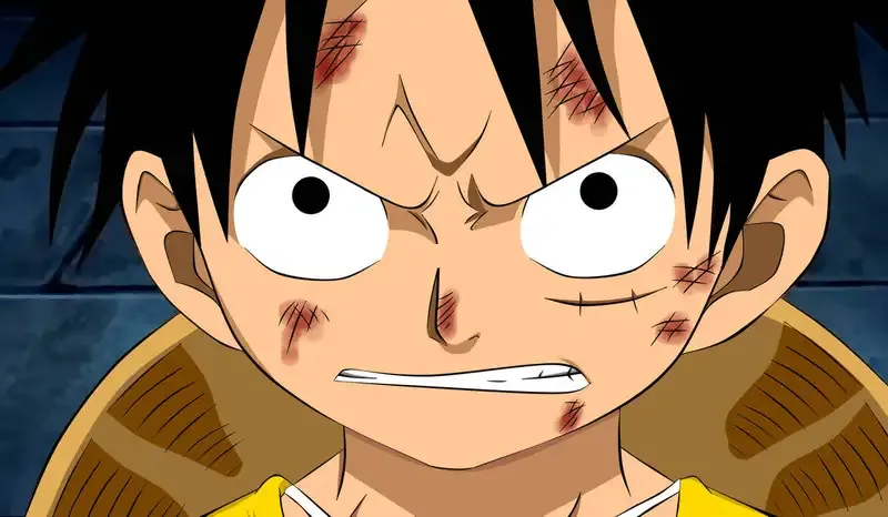 Monkey D. Luffy  49