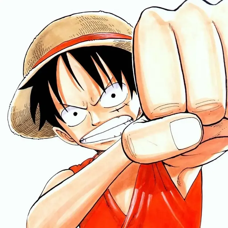 Monkey D. Luffy  53