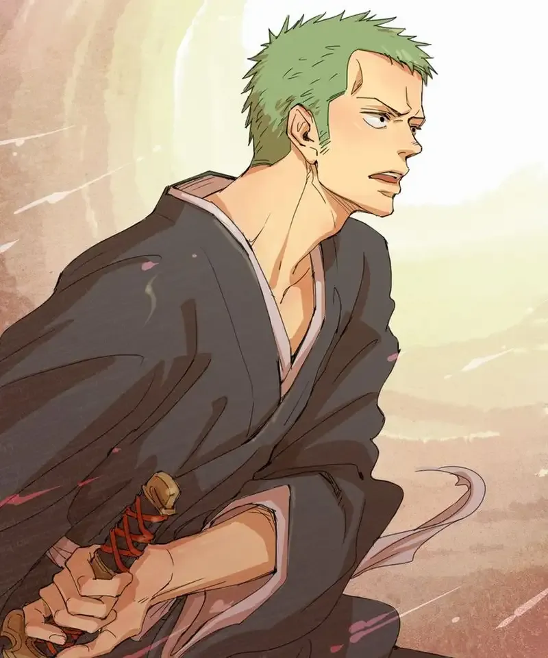 Roronoa Zoro  6