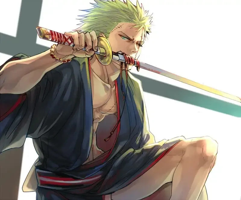 Roronoa Zoro  8