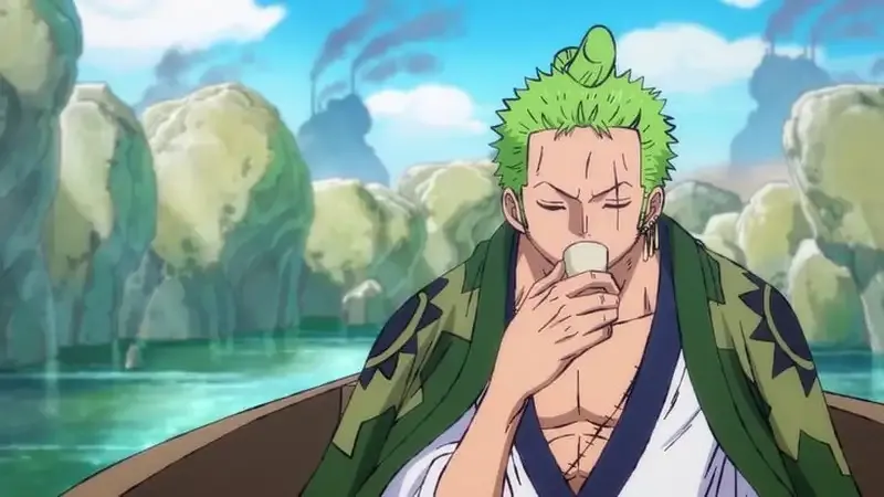 Roronoa Zoro  13