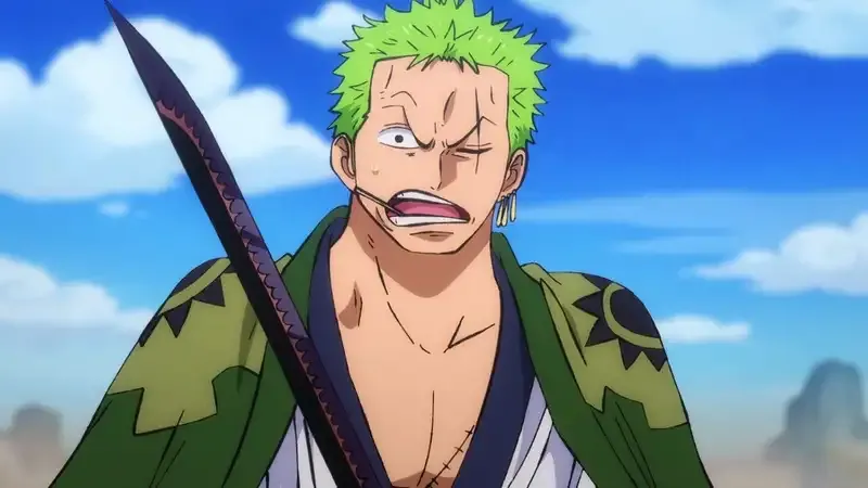 Roronoa Zoro  14