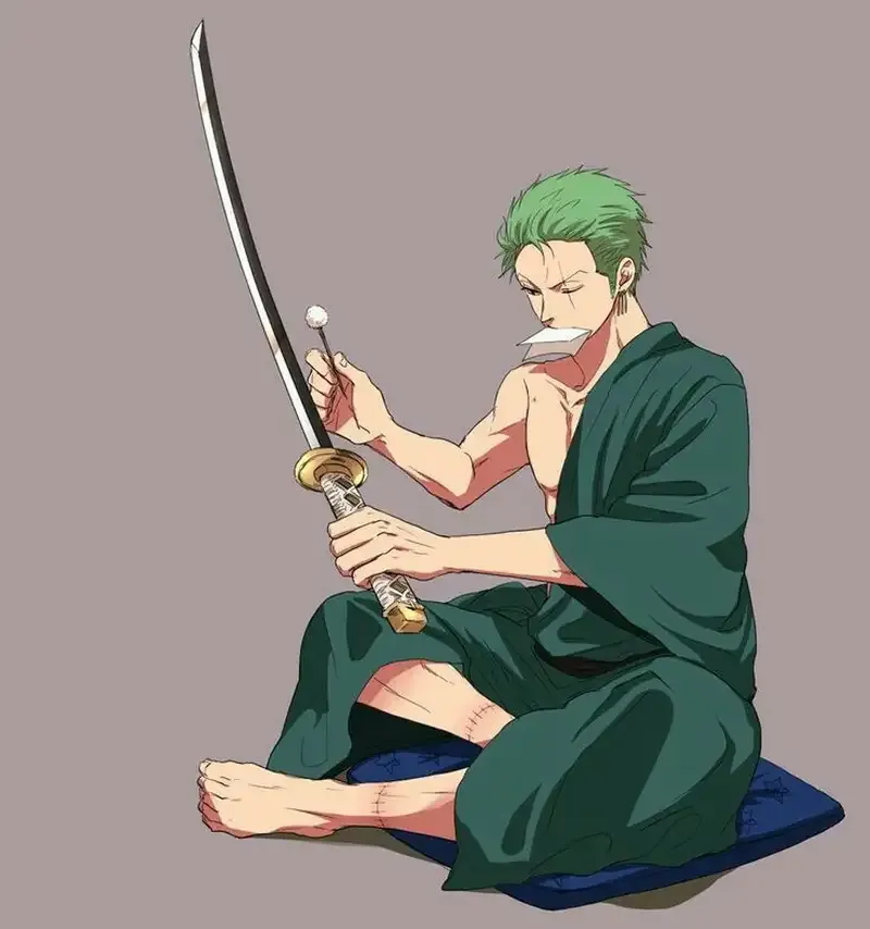 Roronoa Zoro  17