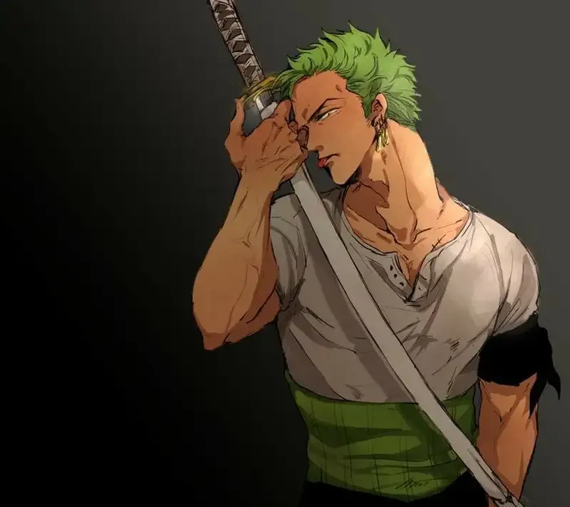 Roronoa Zoro  22