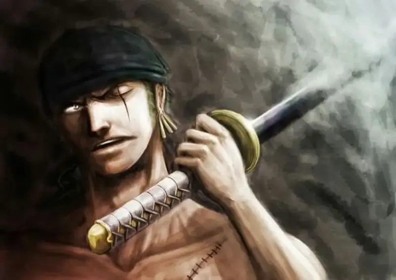 Roronoa Zoro  28