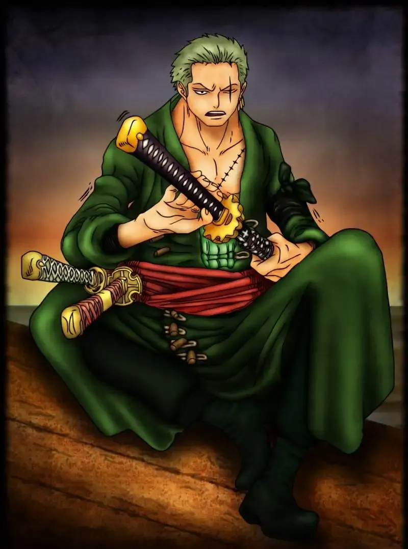 Roronoa Zoro  29