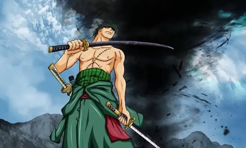 Roronoa Zoro  30