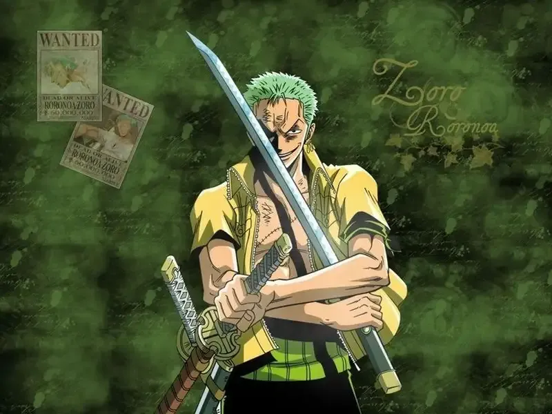 Roronoa Zoro  35