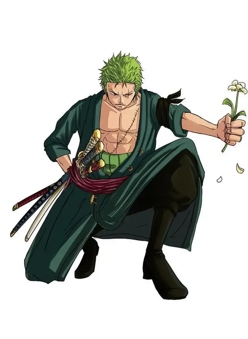 Roronoa Zoro  41