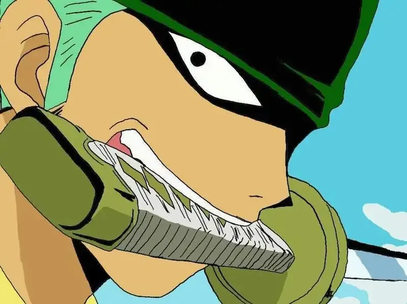 Roronoa Zoro  47