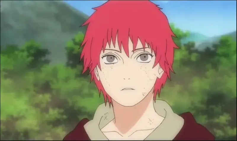 Sasori  1