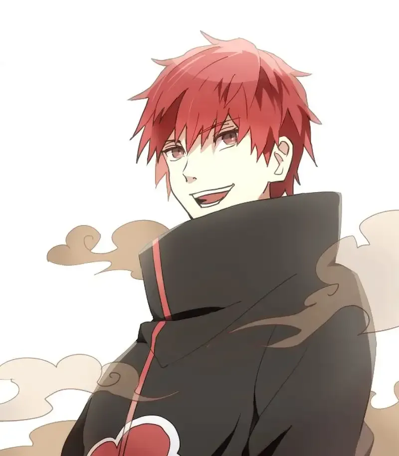 Sasori  24