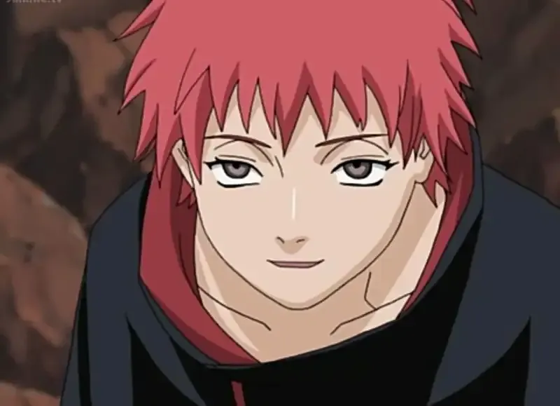 Sasori  15