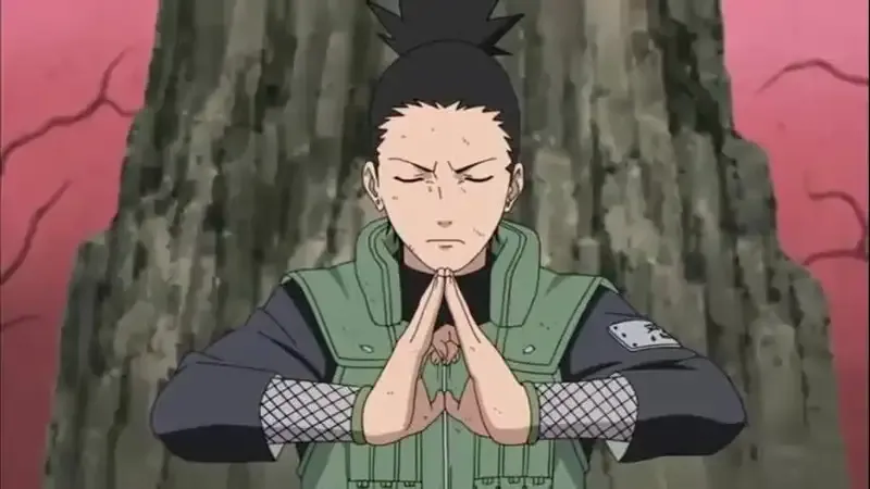 Shikamaru Nara  28