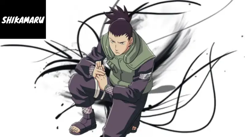 Shikamaru Nara  44