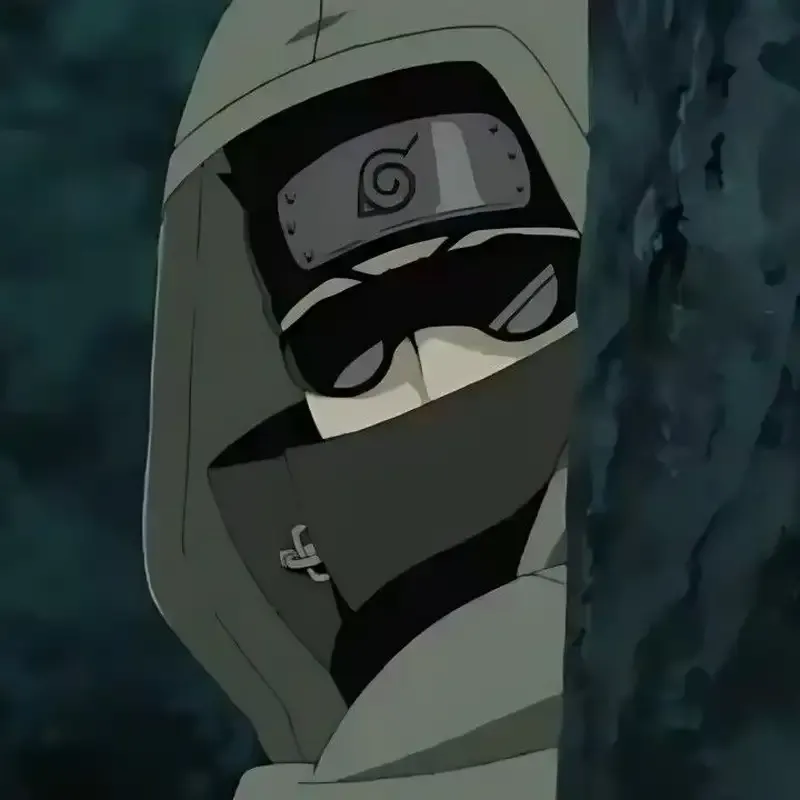 Shino Aburame 47