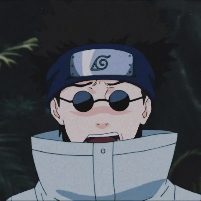 Shino Aburame 42