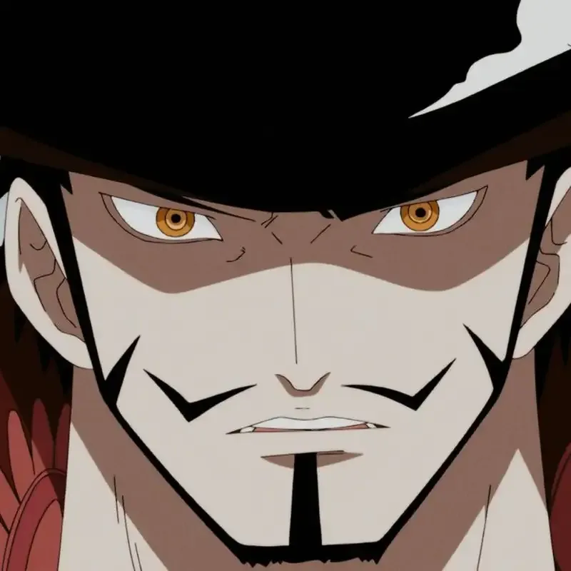 Ảnh Dracule Mihawk  9