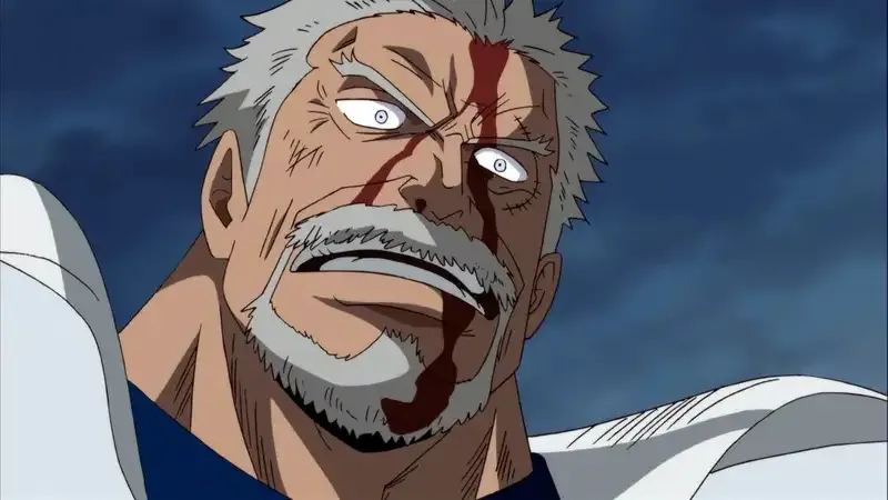 Ảnh Garp 8