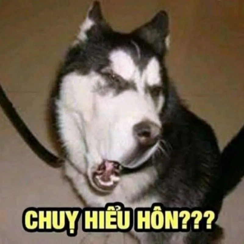 Những ảnh meme bựa siêu hài hước không thể bỏ qua