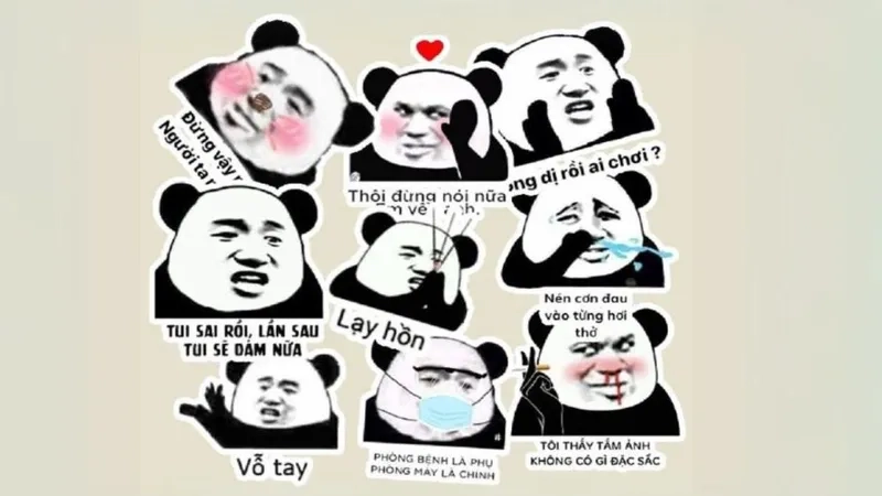 Tìm ngay hài hước meme gấu trúc troll face để làm mới ngày của bạn