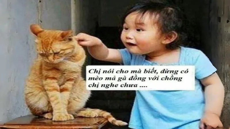 Meme cute hình icon dễ thương là lựa chọn không thể bỏ qua