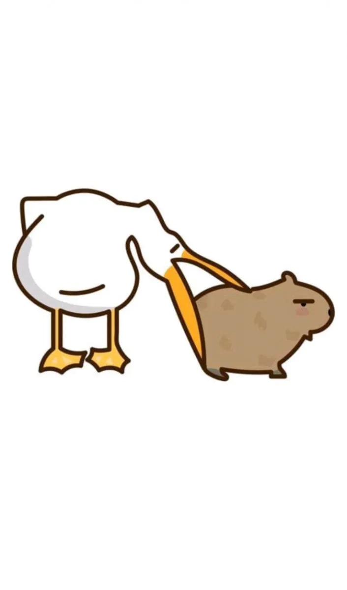 Capybara cute dễ thương đáng yêu nhất hệ mặt trời