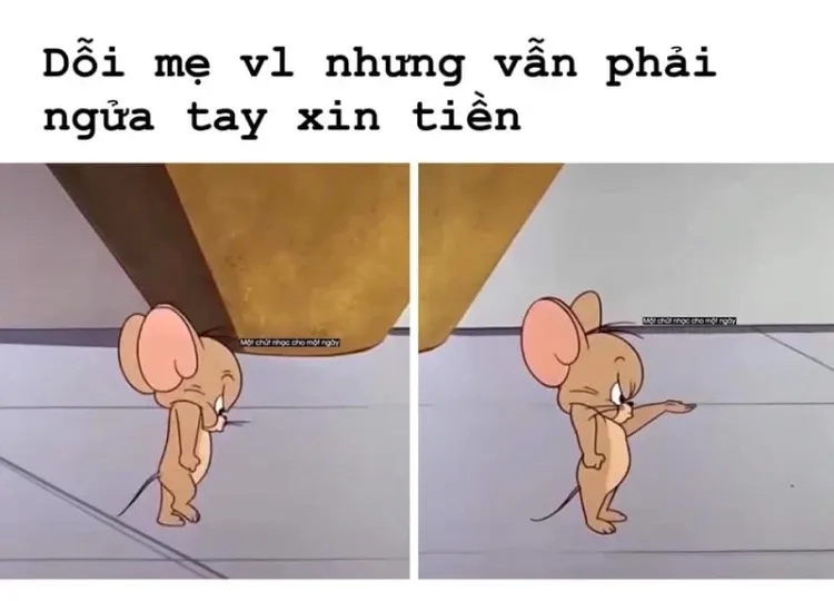 Tải ngay jerry meme hd chất lượng sắc nét